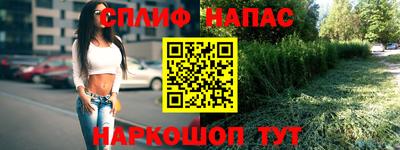 крисы Жуковский
