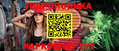 крисы Жуковский
