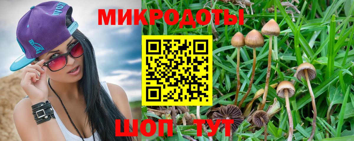 Новоалтайск  Галлюциногенные грибы Magic Shrooms  Вход с VPN 