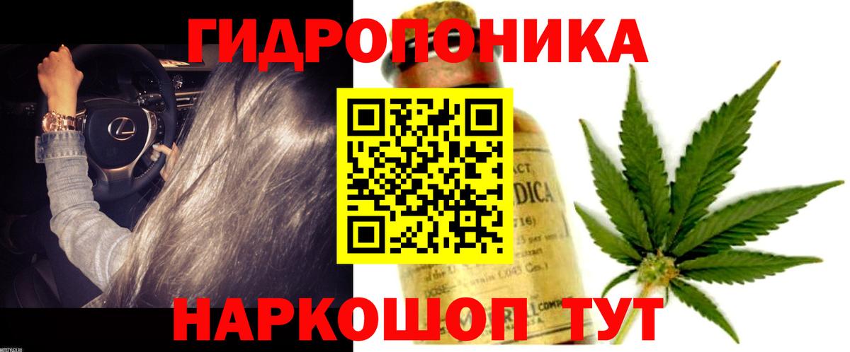 МАРИХУАНА SATIVA & INDICA  Вход с VPN  Бошки Шишки OG Kush  Новоалтайск  МАРИХУАНА семена 